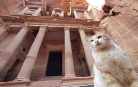 【帰国レポート】三大陸の十字路 ヨルダン周遊の旅