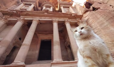 【帰国レポート】三大陸の十字路 ヨルダン周遊の旅