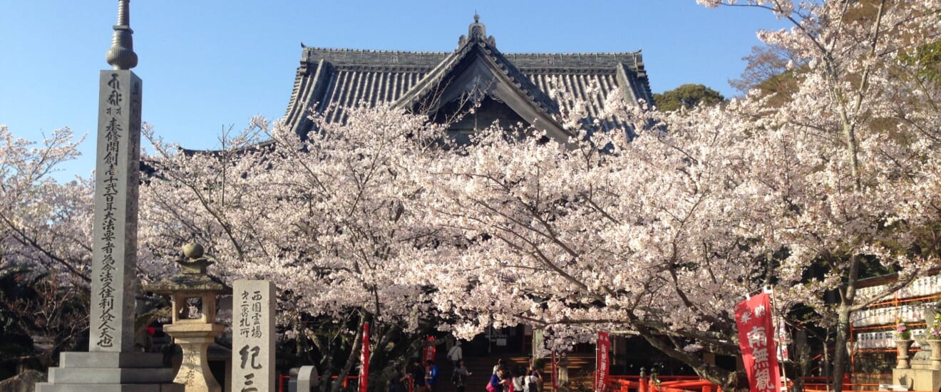 紀三井寺特別拝観と桃源郷を訪ねて【3日間】