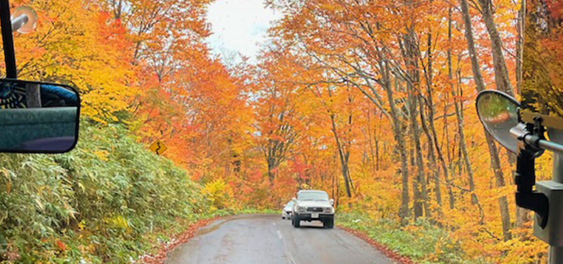 【帰着レポート】北東北4つの紅葉絶景　十和田・八甲田・八幡平と白神山地の旅