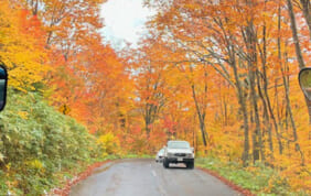 【帰着レポート】北東北4つの紅葉絶景 十和田・八甲田・八幡平と白神山地の旅