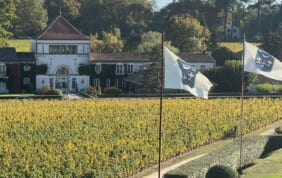 【帰国レポート】秋のボルドーからサンセバスチャンへの旅