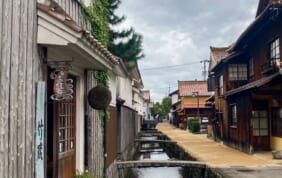 【帰着レポート】オリオン座流星群を楽しむ　若桜鉄道と日本の原風景を訪ねる