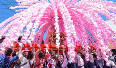 うだつの町の美濃まつりと高山線桜回廊の旅【4日間】