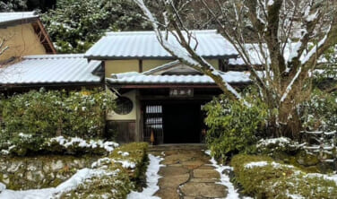 【視察レポート】美山荘