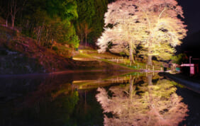 2026年2月〜6月出発　冬から春のツアーパンフレット「日本旅百景」ができました。