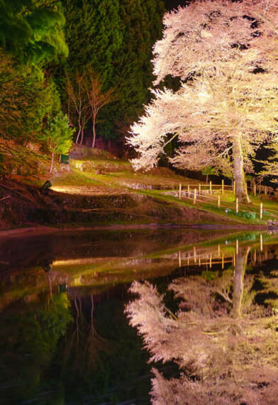 2026年2月〜6月出発　冬から春のツアーパンフレット「日本旅百景」ができました。