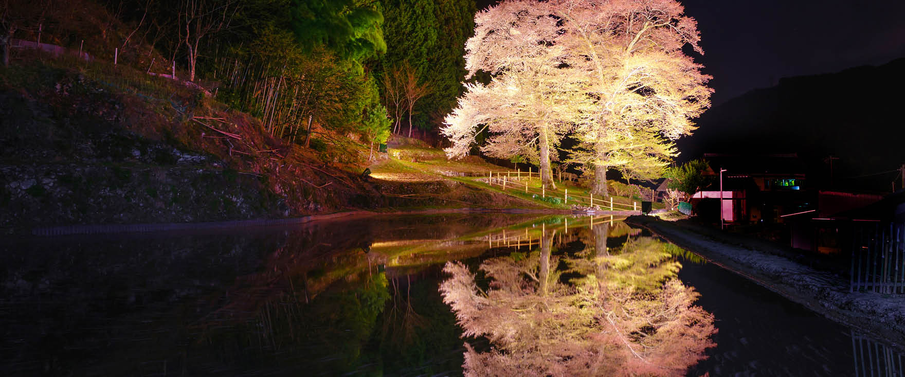 2026年2月〜6月出発 冬から春のツアーパンフレット「日本旅百景」が