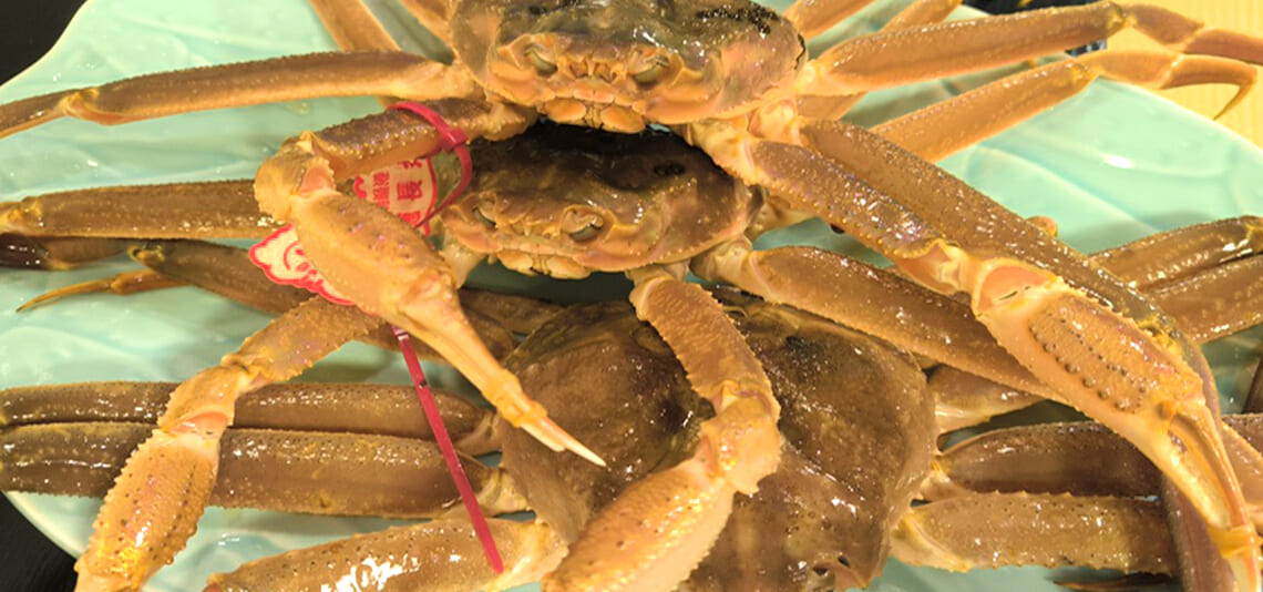 【帰着レポート】山陰 冬の味覚と足立美術館の旅