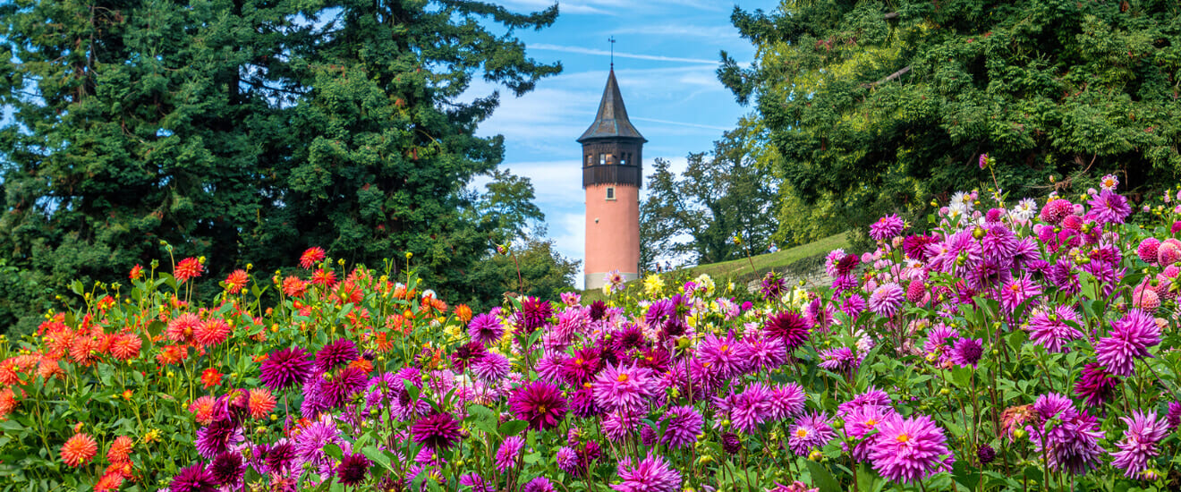 知られざるフランケンの町フォルヒハイムと煌めくボーデン湖の旅【9日間】