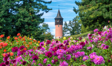 知られざるフランケンの町フォルヒハイムと煌めくボーデン湖の旅【9日間】