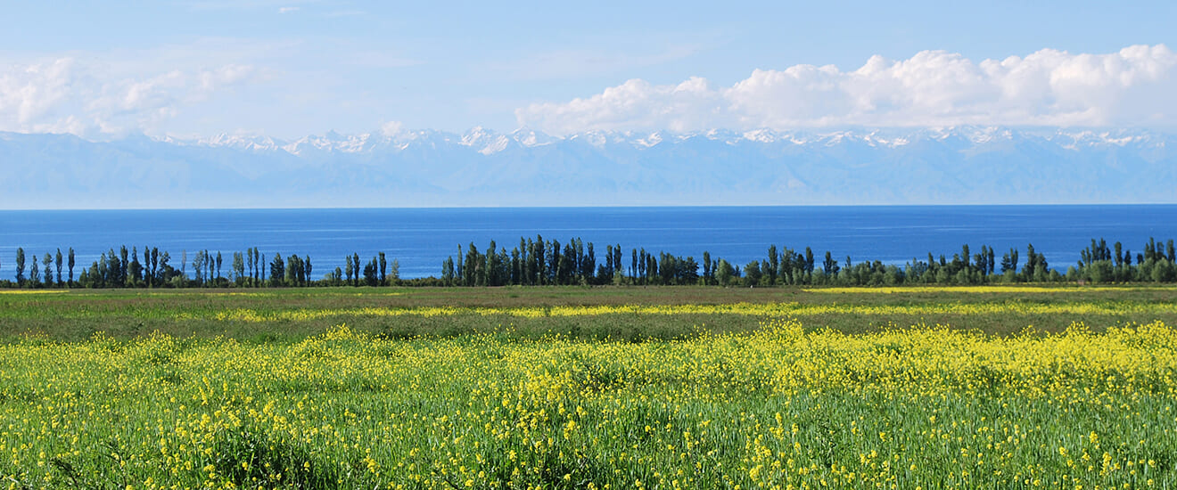 キルギス、カザフスタン 神秘のイシククル湖南岸をゆく【9日間】