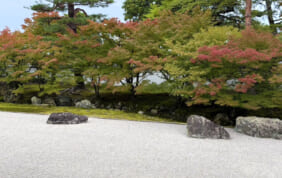 【帰着レポート】庭園案内人と旅する　秋の京都庭園めぐり 3日間