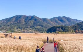 【帰国レポート】錦秋の南韓国紀行【5日間】