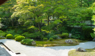 庭園案内人と巡る 初夏の京都庭園めぐり【3日間】