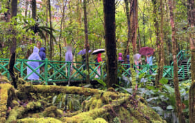 【帰国レポート】ボルネオ島の大自然と不思議のブルネイ王国の旅　6日間