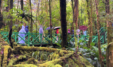 【帰国レポート】ボルネオ島の大自然と不思議のブルネイ王国の旅　6日間