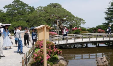 庭師、庭園ガイドと巡る・庭から楽しむ金沢、加賀の旅【4日間】