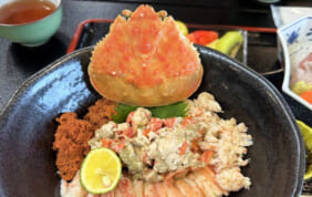 【帰着レポート】年内だけの贅沢「せいこ丼」を楽しむ若狭・越前海岸・福井の旅　４日間