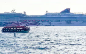 【帰国レポート】プライド・オブ・アメリカ　ハワイ4島の船旅