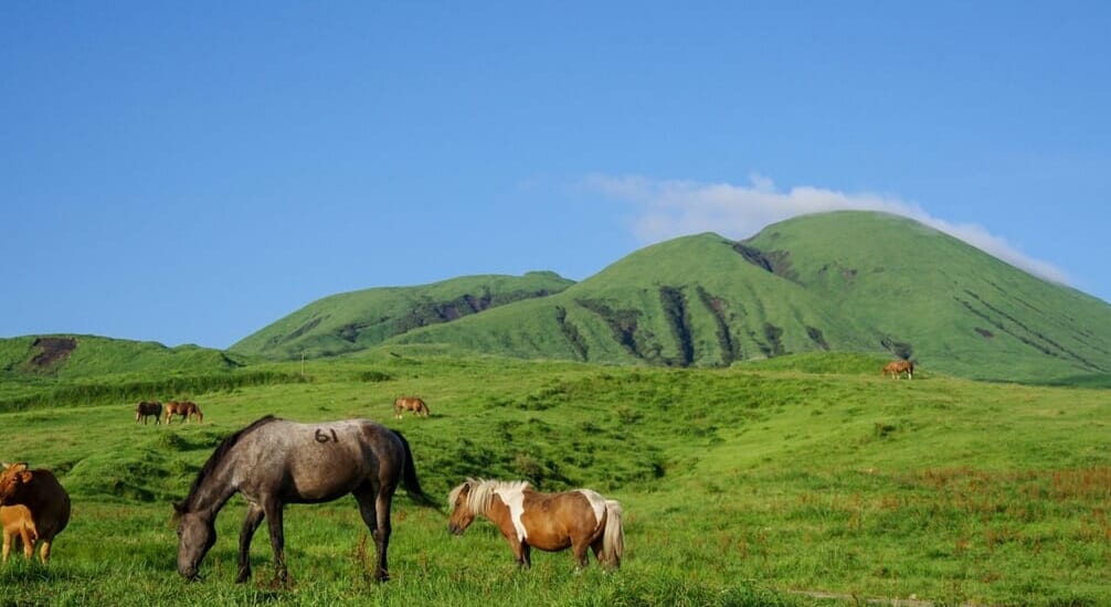 新しい阿蘇の魅力と草原ダイニングの旅【4日間】
