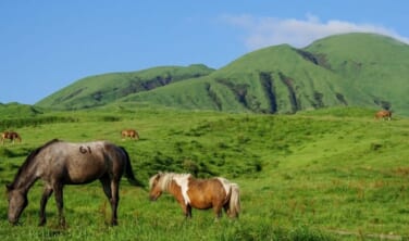 新しい阿蘇の魅力と草原ダイニングの旅【4日間】
