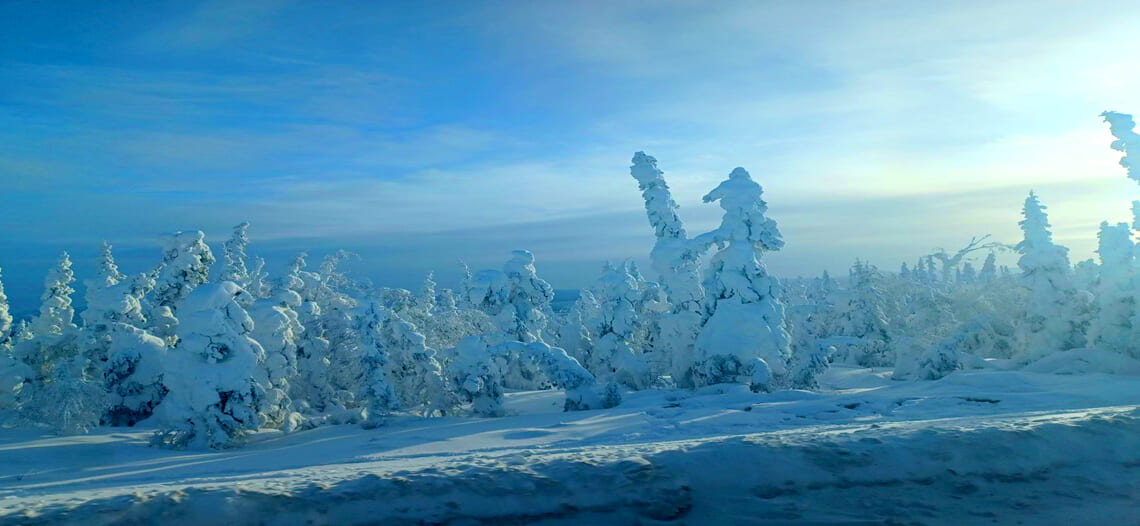 【帰国レポート】冬のアラスカ大自然　アラスカ鉄道と北極圏の冬景色