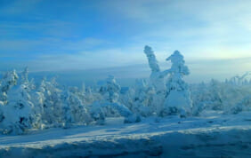 【帰国レポート】冬のアラスカ大自然　アラスカ鉄道と北極圏の冬景色