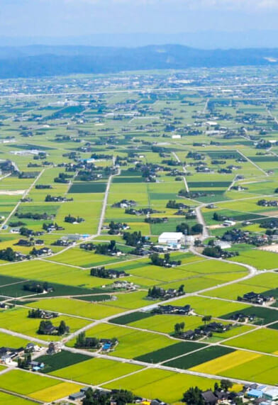 2026年5月〜9月出発　夏のツアーパンフレット「日本旅百景」ができました。