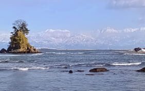 【帰着レポート】鮨ガストロノミー　氷見「成希」と富山の旅