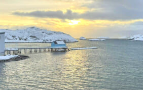 【帰国レポート】ロフォーテン諸島とトロムソ　ノルウェー北極圏の旅