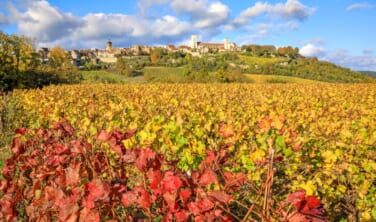 【10月12日発】ブルゴーニュ地方の栄華と古都ディジョンの旅【10日間】
