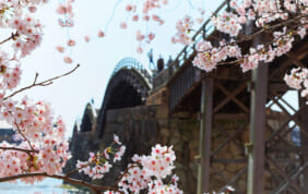 【帰着レポート】津和野の流鏑馬神事と岩国・山口への旅