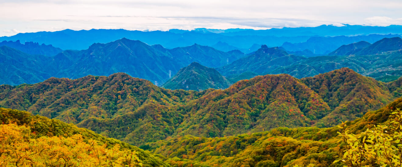 紅葉の「アプトの道」ハイキングと小海線の旅【4日間】