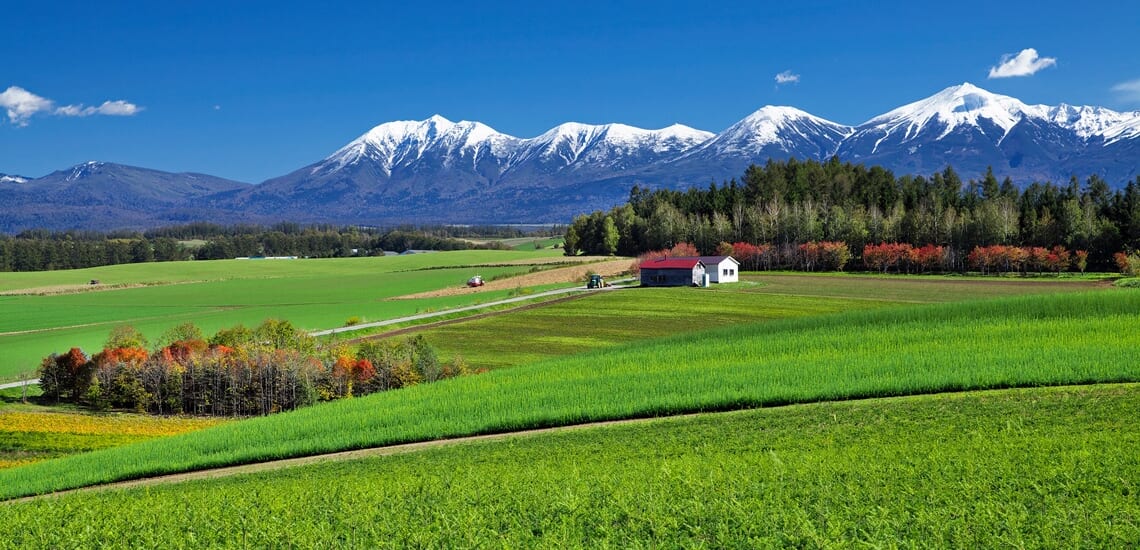 爽涼の夏旅　大雪山・十勝山麓大自然の旅【4日間】