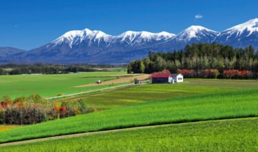 爽涼の夏旅　大雪山・十勝山麓大自然の旅【4日間】