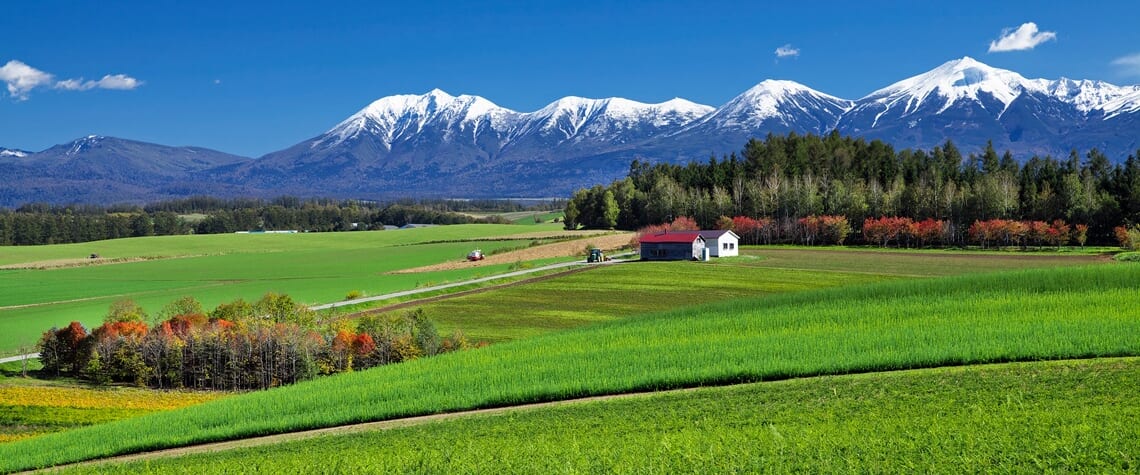 爽涼の夏旅 大雪山・十勝山麓大自然の旅【4日間】 | ワールド航空サービス