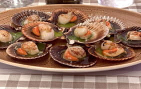 【帰国レポート】カンタブリア・アストゥリアスとガリシア探訪の旅 11日間