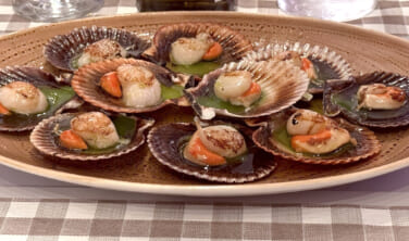 【帰国レポート】カンタブリア・アストゥリアスとガリシア探訪の旅 11日間