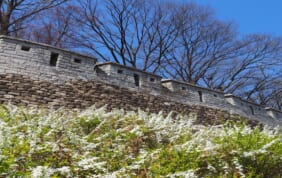 【帰国レポート】韓国・城郭トレイルと歴史文化散策