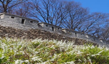 【帰国レポート】韓国・城郭トレイルと歴史文化散策