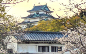 【帰着レポート】紀三井寺特別拝観と桃源郷を訪ねて