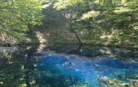 【帰着レポート】新緑の白神山地を歩く旅