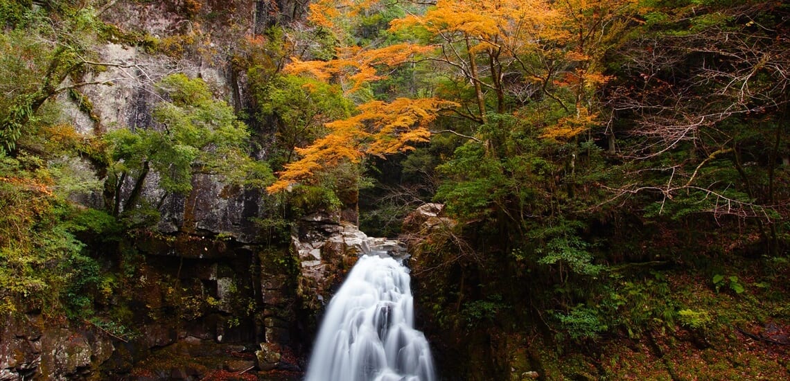 柳生と伊賀、南山城の里山と京滋の秋景色【4日間】