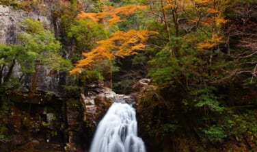 柳生と伊賀、南山城の里山と京滋の秋景色【4日間】