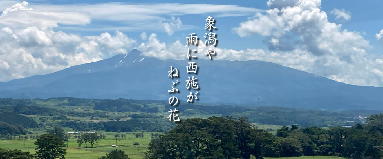 松尾芭蕉『おくのほそ道』を辿る旅【8日間】