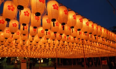 「姫路の年越し」ゆく年くる年【4日間】