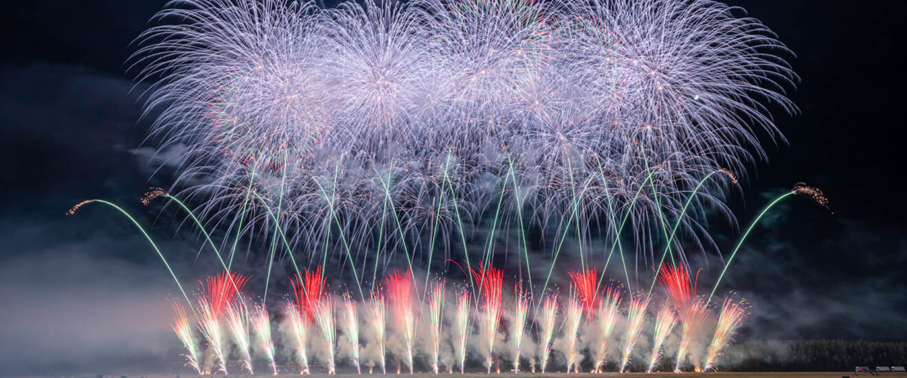 【新千歳発着】にし阿波の花火と淡路島の旅【4日間】