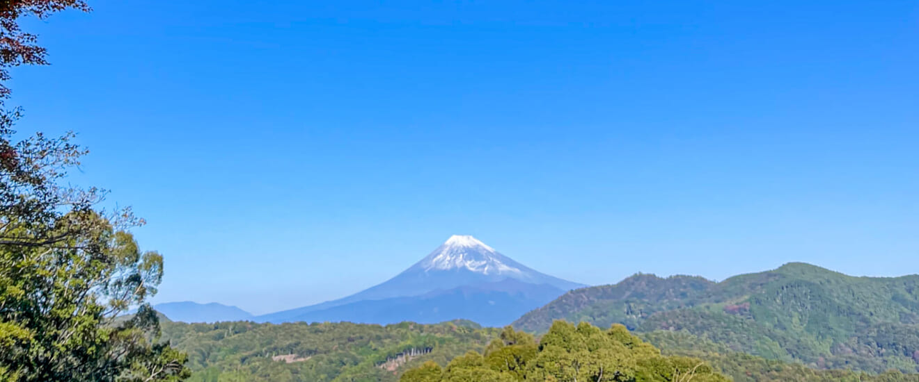 【新大阪発】山紫水明に泊まる　久能山東照宮夜間特別拝観と紅葉の修善寺の旅【4日間】