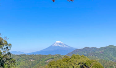 【新大阪発】山紫水明に泊まる　久能山東照宮夜間特別拝観と紅葉の修善寺の旅【4日間】